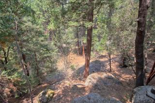 1L The Tree House - North Wawona - 5