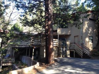 18A Pohono Pines - Wawona - 1