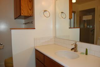 43A Mountain Retreat - Wawona - 6