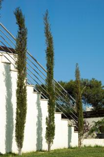 Villa Vikla - 1