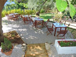 Mediterraneo Rooms - Palinuro - 4