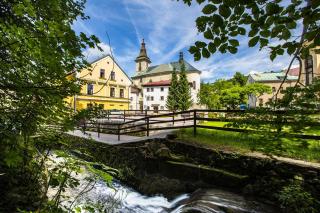 Yellow Ski Apartments - Rokytnice nad Jizerou - 4