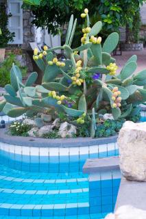 Villa Ketty Resort - Vico Equense - 6