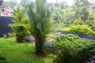 One C Hostel - Galle - 6