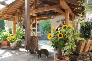 Landgasthof Untere Mühle - Alpirsbach - 6