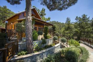 Ricky Chalet Near Troodos - Spilia - 6