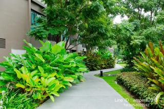 Raincondo Ampere - Cha Am - 3