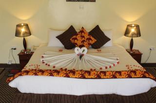 Davinci Gorilla Lodge - 6