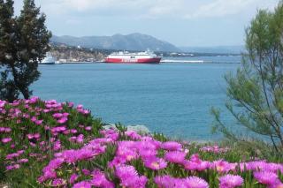 Overlooking the blue sea - Rafina - 9
