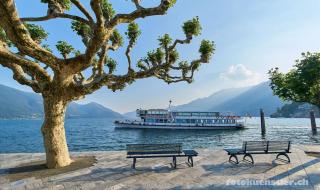 Ferienwohnung Isabella - Ascona - 6