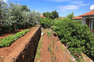 Apartments and rooms with parking space Jelsa, Hvar - 8798 - 5
