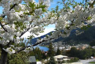 Balmoral Lodge - Queenstown - 4