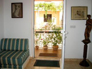 Villa Seka - Budva - 8