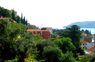 Villa Seka - Budva - 7