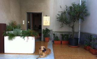B&B 5 Sensi - Belpasso - 9