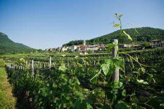 Charming B&B and Osteria La Crisalide - Meride - 1
