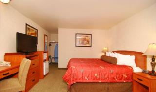 Best Western Holiday Hotel - 1