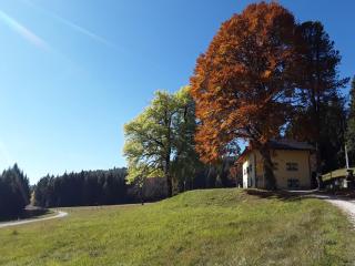 Chalet Musiera - Telve - 0