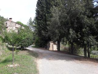 Agriturismo Podere San Pietro - Montepulciano - 6