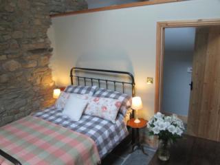 Danygraig Cottage - Carmarthen - 4