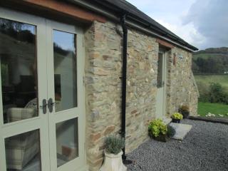 Danygraig Cottage - Carmarthen - 5