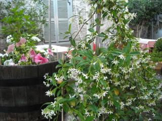 Theano Guesthouse - Hydra - 9