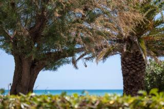 Casa Prima Fila Mare - Porto San Giorgio - 8