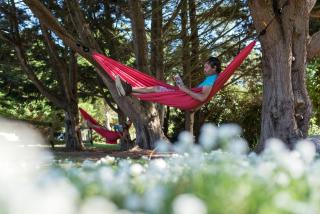 Jardin Colonial - Rêves De Mer - 4