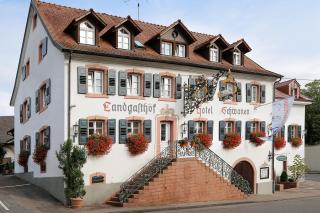 Flair Hotel Schwanen - Bad Bellingen - 0