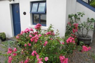 Muckle Flugga - Goleen - 9