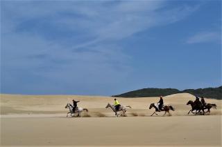 Panorama Guest House - Port Alfred - 6