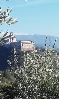 B&B Colle San Francesco - Asís - 4