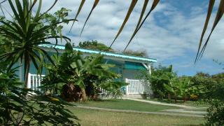 Bungalow cocodile - Sainte-Anne - 4