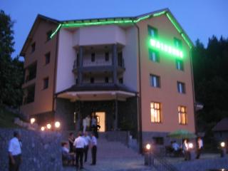 Pension Waldburg - Rîşnov - 8
