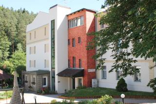 Hotel-Restaurant Liebnitzmühle - Raabs an der Thaya - 5