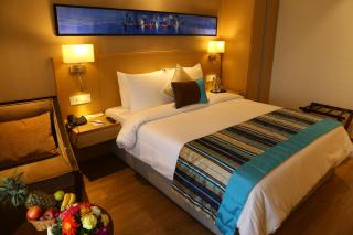 Sarovar Portico Rivera Ahmedabad - Ahmedabad - 5