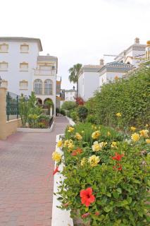 Molino Blanco Apartment - Torrevieja - 2