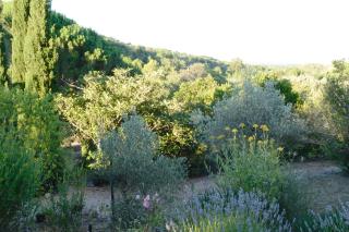 La Briardière - Camélas - 4