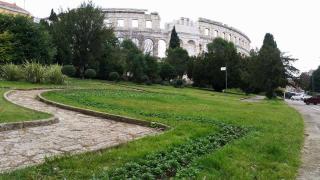 Teo Apartment - Pula - 1