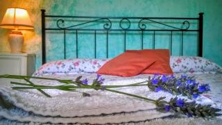 B&B Il Casale delle Pianacce - 3