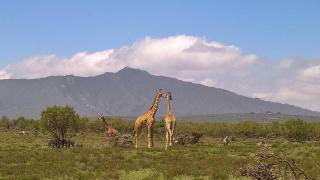 Shwari Cottages - Naivasha - 2