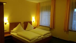 Hotel Thüringer Hof - Ebeleben - 4