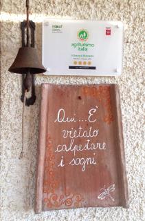 Il Grano Di Bramante - Marrucheto - 5