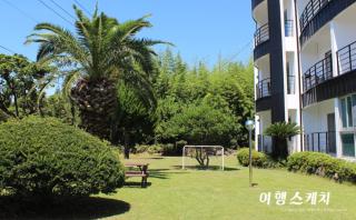 Toursketch Pension - Seogwipo - 1