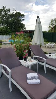 Au berceau du loup agile - Offendorf - 7