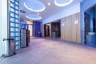 Hotel Premier Aqua - Adults Only - Vrdnik - 3