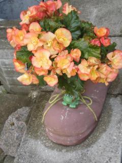 Jannseni Accommodation - 4