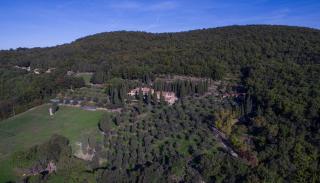 Tenuta La Bandita - Sassetta - 1