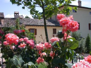 Agriturismo Sasso Rosso - Capodacqua - 6