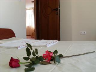 Park Apartments & Rooms Popovi - 7